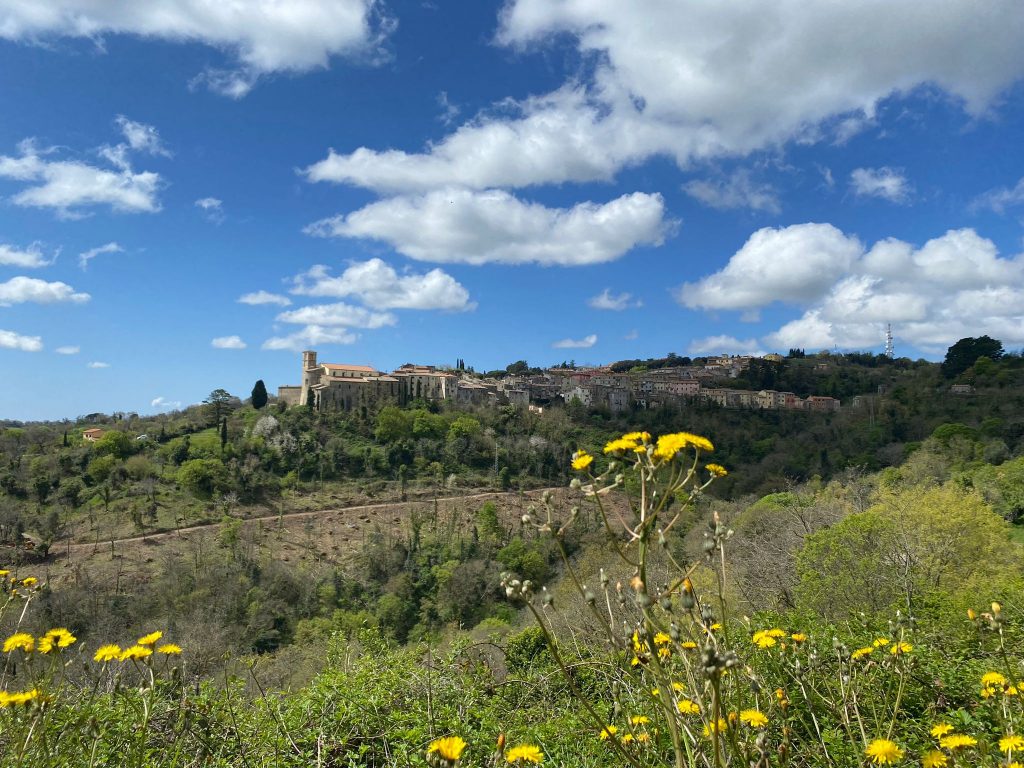 A due passi dall'Agriturismo Il Marciatoio, Scansano e la sua storia